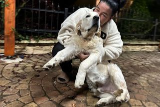 Lokalizátor ztraceného štěněte v Kladně velmi rychle měnil polohu. Majitelé se děsili únosu - Novinky