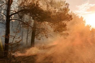U chorvatského Splitu hoří. Desítky českých turistů museli evakuovat - Seznam Zprávy