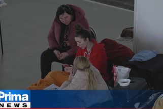 VIDEO: Bydlení v chatce a práce za almužnu. Ve Svitavách odhalili vykořisťování Ukrajinek