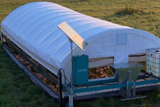 První ultramoderní kurník v Česku. Podívejte se, co umí - Seznam Zprávy