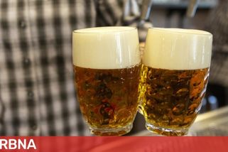 Pivo podraží. Holba, Zubr a Litovel plánují kvůli rostoucím nákladům zvýšení cen o několik procent