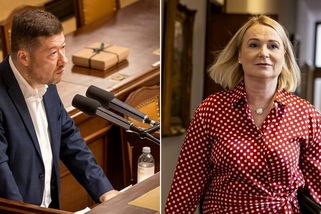 Jste odpornej člověk! Nevíte, která bije, nebo jste v deliriu, křičel Okamura na Černochovou