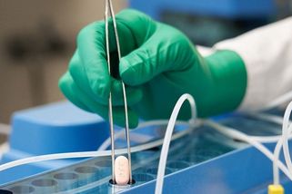 Lék od Pfizeru je účinný i proti variantě omikron, uvádí studie - Seznam Zprávy