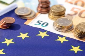 Politici smetli euro ze stolu - Novinky