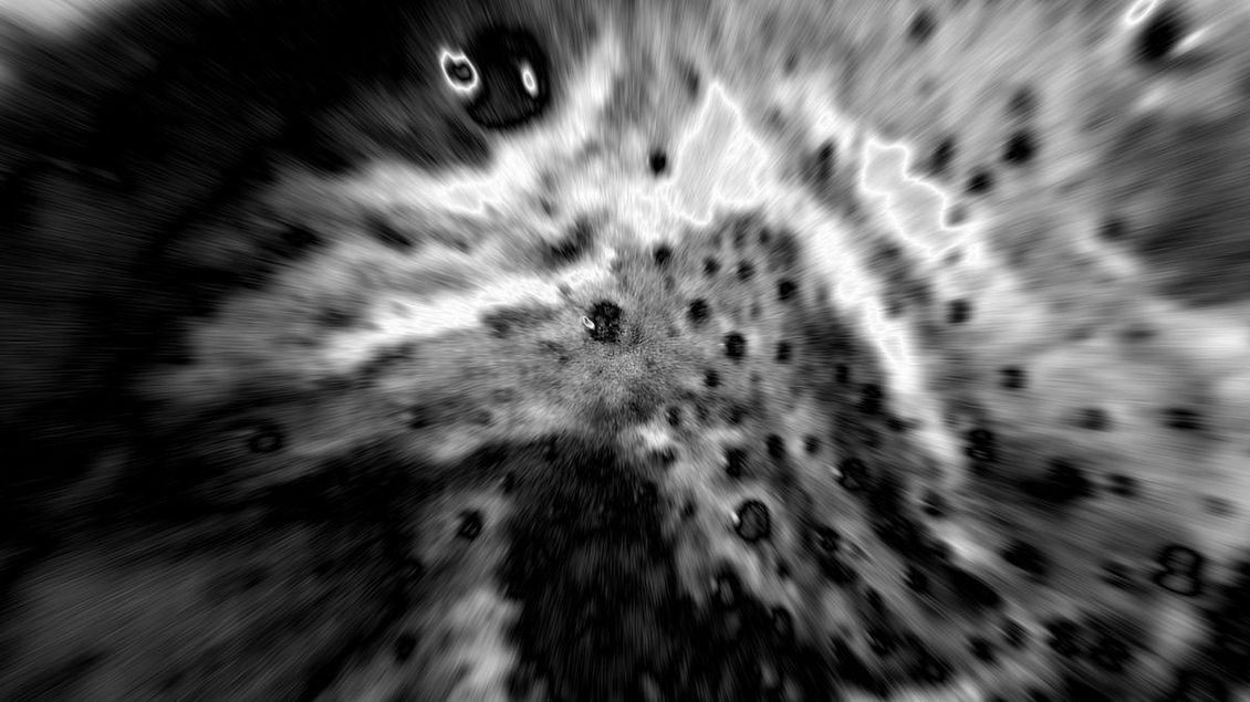 Kávové portréty ještěrů (březen/duben 2026) - Médium.cz