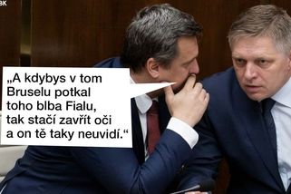 TMBK: Jeden z premiérů Fiala a Fico lže o schůzce. Jenže který z nich dvou? - Seznam Zprávy