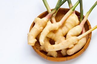 Pro zázvor už se nechodí do obchodu, ale na parapet. Jeho vypěstování nestojí žádnou námahu - Pěstujme.cz – tipy nejen pro zahradu