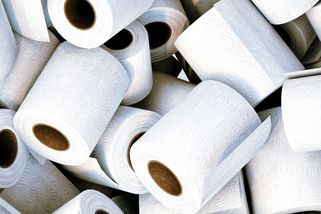 Toaletní papír jako relikt minulosti: Trend ukazuje jiným směrem