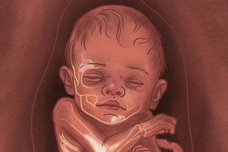 National Geographic | Dítě, které se nenarodilo, změnilo dějiny: Jak DNA z pravěkého plodu odhalila kolaps neandrtálců