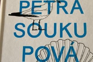 Ježíšek mi nadělil novou knihu Petry Soukupové „Marta děti nechce“, s potěšením jsem si ji přečetl - Médium.cz