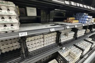 USA žádají Evropu o pomoc s dovozem vajec. Včetně Dánska - Novinky