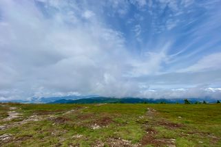 Začaly čistky v národních parcích. Vše krásné musí shořet