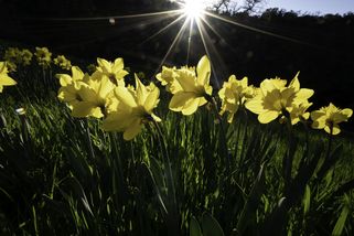 Velikonoce zachráněny! Aprílové počasí otočilo, do...