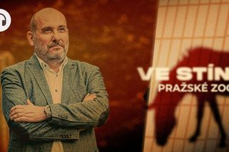 Chovatel orangutanů potrestán kvůli lajku. Šikana tu není, říká ředitel zoo - Seznam Zprávy