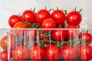 Vlastní rajčata si vypěstujete z těch ze supermarketu. A využijete i krabičku