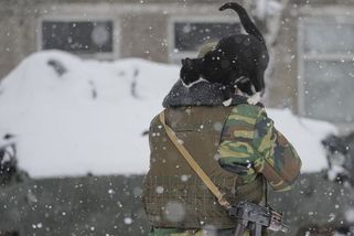 V Česku by se mohli léčit zranění ukrajinští vojáci - Novinky