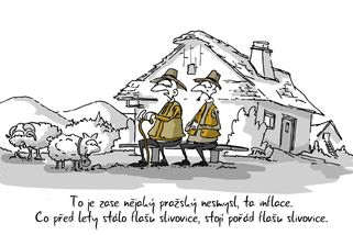 Inflace je pražský výmysl, na Moravě s ní problém nemají - Médium.cz