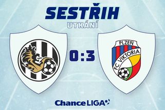 Hyského rozčílil terén v Hradci: Hřiště je v katastrofálním stavu - Sport.cz