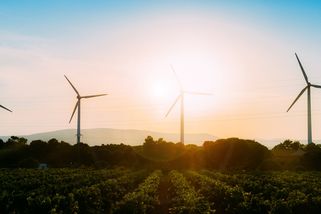 Češi větrné elektrárny spíše podporují. Přesvědčených odpůrců je 15 %