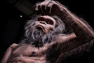 Sapiens vs. Neandertálec: Kdo byl v ložnici úspěšnější? Odpověď leží ve vašich buňkách