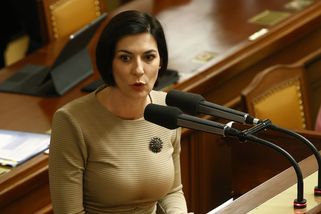 ANO chce mimořádnou schůzi k odvolání Pekarové Adamové z čela Sněmovny - Novinky