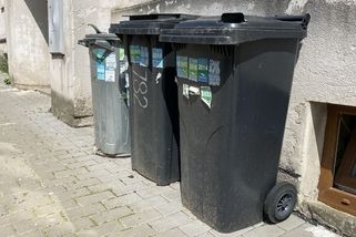 Češi se musí naučit pořádně vyhazovat odpadky. Jinak je to přijde draho - Seznam Zprávy