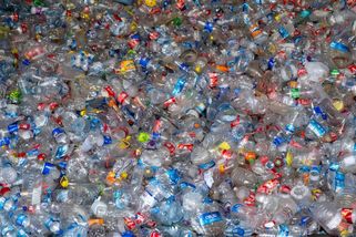 Recyklace plastů: Před vhozením do kontejneru by měly být obaly čisté - ČasProBydlení