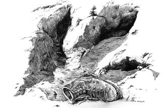 Tyranosaurů byly miliardy - Médium.cz