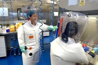 Jediná zahraniční expertka z wuchanské laboratoře promluvila - Novinky