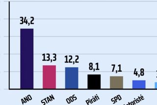 Hnutí STAN přeskočilo ODS, ukazuje další průzkum. ANO vede drtivě - Echo24.cz