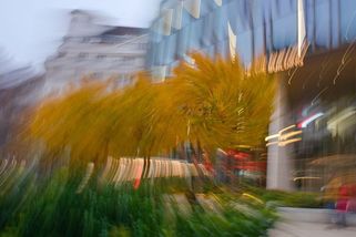 Jak zpomalit čas: Past jménem zvyk - Médium.cz