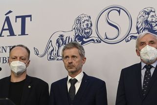 Senát: O převodu Zemanových pravomocí se rozhodneme podle lékařů, ne hradního videa - Novinky