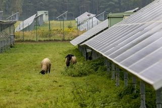 Likvidace. Tak firmy hodnotí Stanjurovo rozhodnutí dát na fotovoltaiky příští rok jen 8,5 miliardy - Novinky