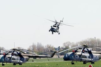 „Rutte tohle nenechá jen tak.“ Kvůli Babišovi je Česko padouchem NATO, píše Politico - Novinky