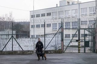 Vězni dostanou padesát korun navíc. Po třiceti letech