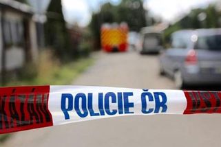 Tříletý chlapeček napadený na ubytovně na Lounsku zemřel: K smrti ho měl umlátit vlastní otec