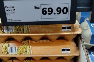 novinky.cz/clanek/40530809