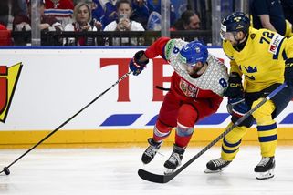 Česko - Švédsko 7:3