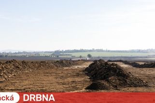 Stavba chybějící části obchvatu Olomouce začne v únoru. Kolony u Globusu však skončí až za dva roky