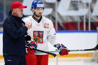 Zadina skončil v NHL a vrátil se do Evropy - Sport.cz
