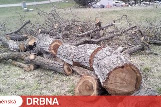 Dítě z Brna kutálelo klády na auta. Nedělám to naschvál, tvrdilo