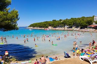 Nebezpečná zvířata v Chorvatsku, na která byste si měli dát pozor - Novinky