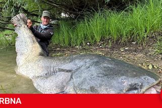 Rybář Vágner ulovil na Vranově masivního sumce. Skočil za ním šipku do vody