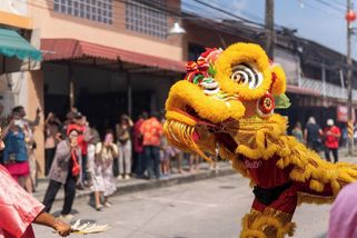 Policisté si na zloděje počíhali v kostýmu draka - Novinky