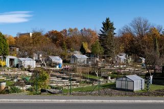 Zahrádkáři pozor: Oblíbená činnost při jarním úklidu listí a větví je nově zakázána pod pokutou 50 tisíc