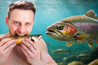 Nejhorší vs. nejlepší ryby - otestoval jsem 15 druhů a rozdíl je šílený! | Jak správně jíst