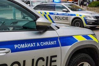 SATIRA: Policejní zatčení Karlose Vémoly bylo drastické a ohrozilo lidskou důstojnost zatčeného - Médium.cz