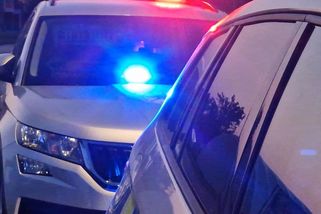 Řidič ujížděl bez placení z benzínky na D1 na Vysočině. Po honičce s policií boural a pak utekl - Novinky