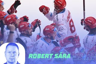 KOMENTÁŘ: La familia Třinec. Když se tým promění v rodinu - Sport.cz