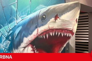 Svět naruby v centru Brna. Nové muzeum iluzí láká na optické triky a zrcadla